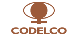 loog_codelco