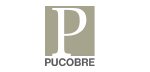 PUCOBRE -100